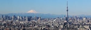 Una spettacolare veduta aerea di Tokyo
