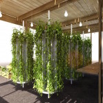 Impact Farm - serra fai da te milano