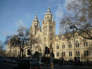 Natural Museum Londra