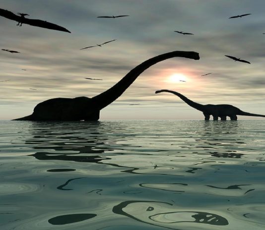 dinosauri-mudec