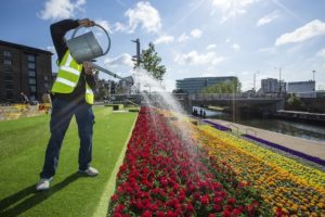 fiori tra Granary Square e Regent