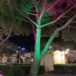 albero illuminato (Antibes- Juan Les Pins)