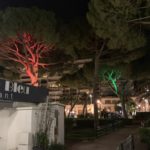 alberi illuminati (Antibes- Juan Les Pins)