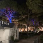 alberi illuminati (Antibes- Juan Les Pins)