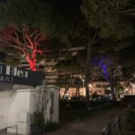 alberi illuminati (Antibes- Juan Les Pins)