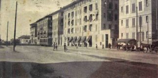 giambellino