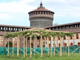 Gelso al Castello