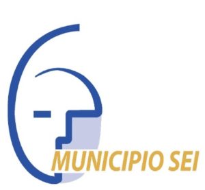 Bandiera Municipio 6