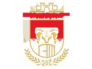 Bandiera Municipio 7