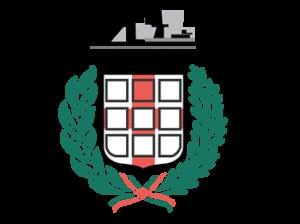 Bandiera Municipio 9