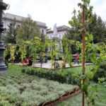 Orto urbano in Piazza della Scala