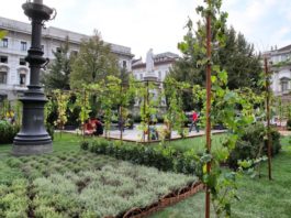 Orto urbano in Piazza della Scala