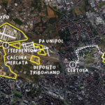 riforestazione