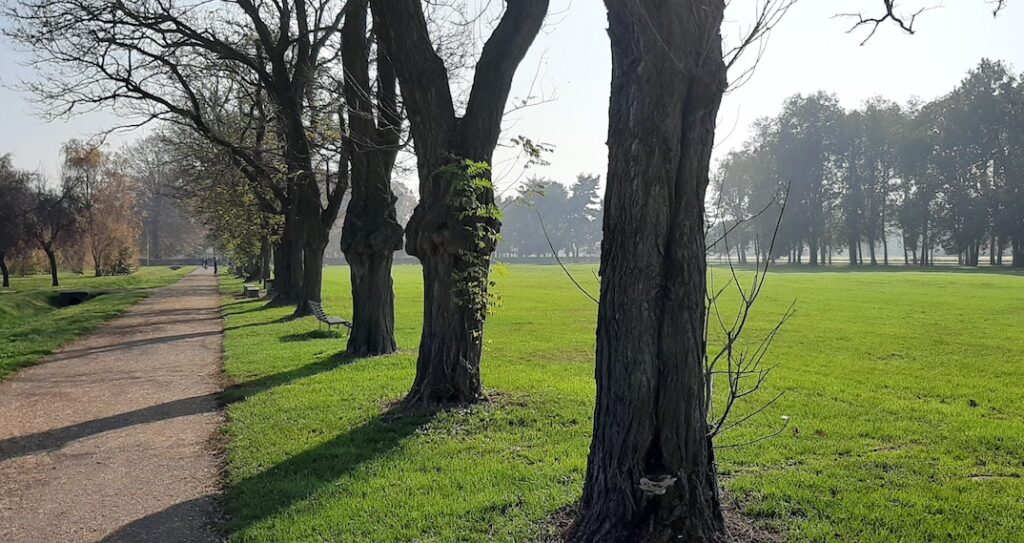 Parco di Trenno