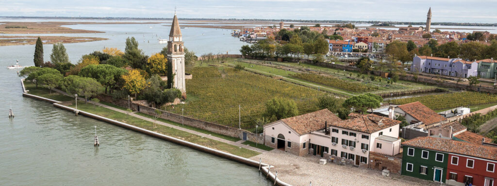 Venizza vigne Venezia