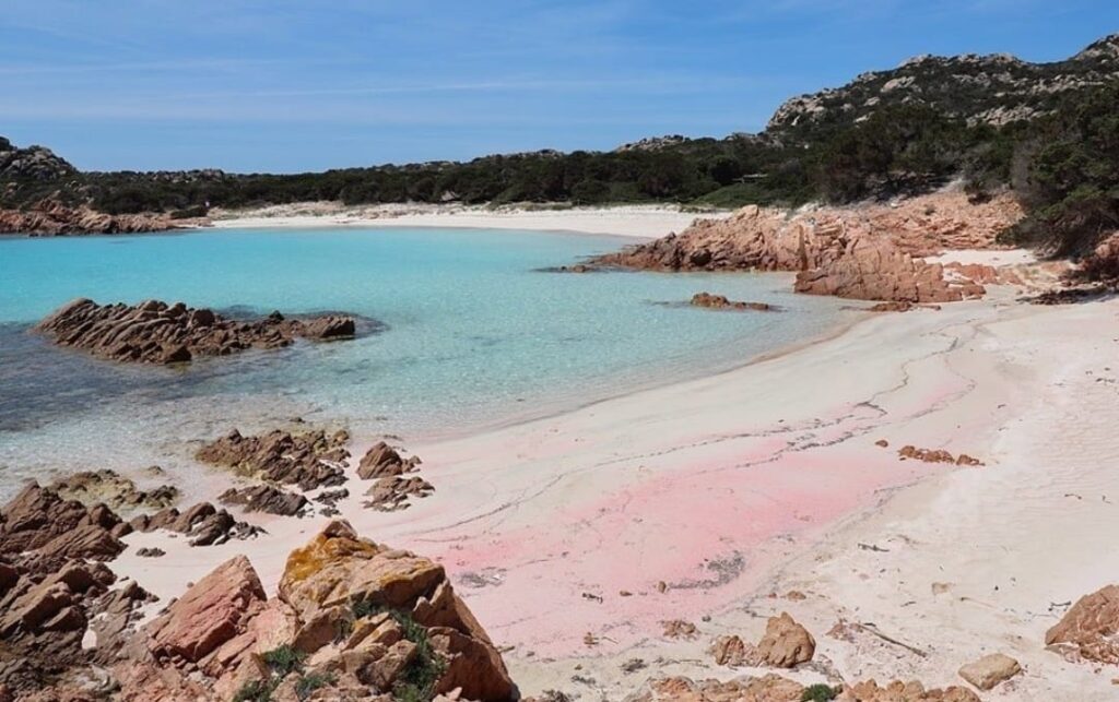 Spiaggia rosa - Arcipelago di La Maddalena