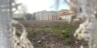 Com'è oggi (ex Vivaio RIva)