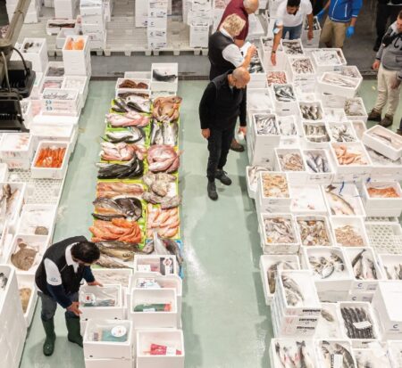 Milano, Parigi e Londra: perché si trova qui il pesce più buono del mondo (anche se non c’è il mare)