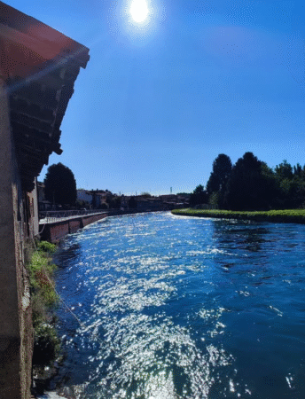 Fiumi e laghi: dove fare una nuotata in acque naturali a Milano?